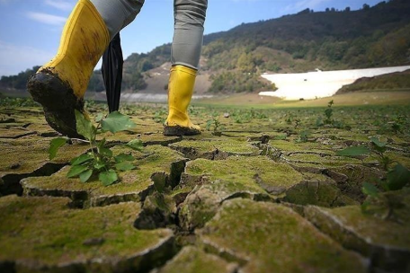 Latest News on Climate Change: Urgent Updates